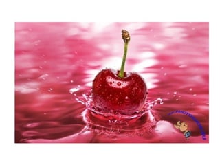 начало партизаны