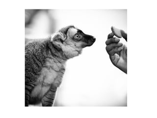 начало партизаны