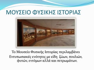 ΜΟΥΣΕΙΟ ΦΥΣΙΚΗΣ ΙΣΤΟΡΙΑΣ
Το Μουσείο Φυσικής Ιστορίας περιλαμβάνει
Εντυπωσιακές ενότητες με είδη ζώων, πουλιών,
φυτών, εντόμων αλλά και πετρωμάτων.
 