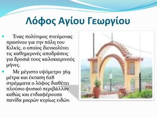 Λόφος Αγίου Γεωργίου
 Ένας πολύτιμος πνεύμονας
πρασίνου για την πόλη του
Κιλκίς, ο οποίος διευκολύνει
τις καθημερινές αποδράσεις
για δροσιά τους καλοκαιρινούς
μήνες.
 Με μέγιστο υψόμετρο 369
μέτρα και έκταση 628
στρέμματα ο λόφος διαθέτει
πλούσιο φυσικό περιβάλλον
καθώς και ενδιαφέρουσα
πανίδα μικρών κυρίως ειδών.
 