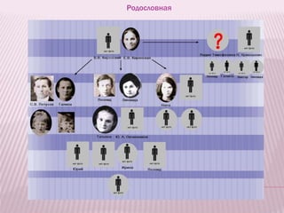 Родословная
 