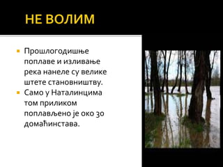  Прошлогодишње
поплаве и изливање
река нанеле су велике
штете становништву.
 Само у Наталинцима
том приликом
поплављено је око 30
домаћинстава.
 