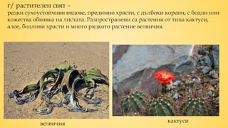 природни зони - пустини | PPT