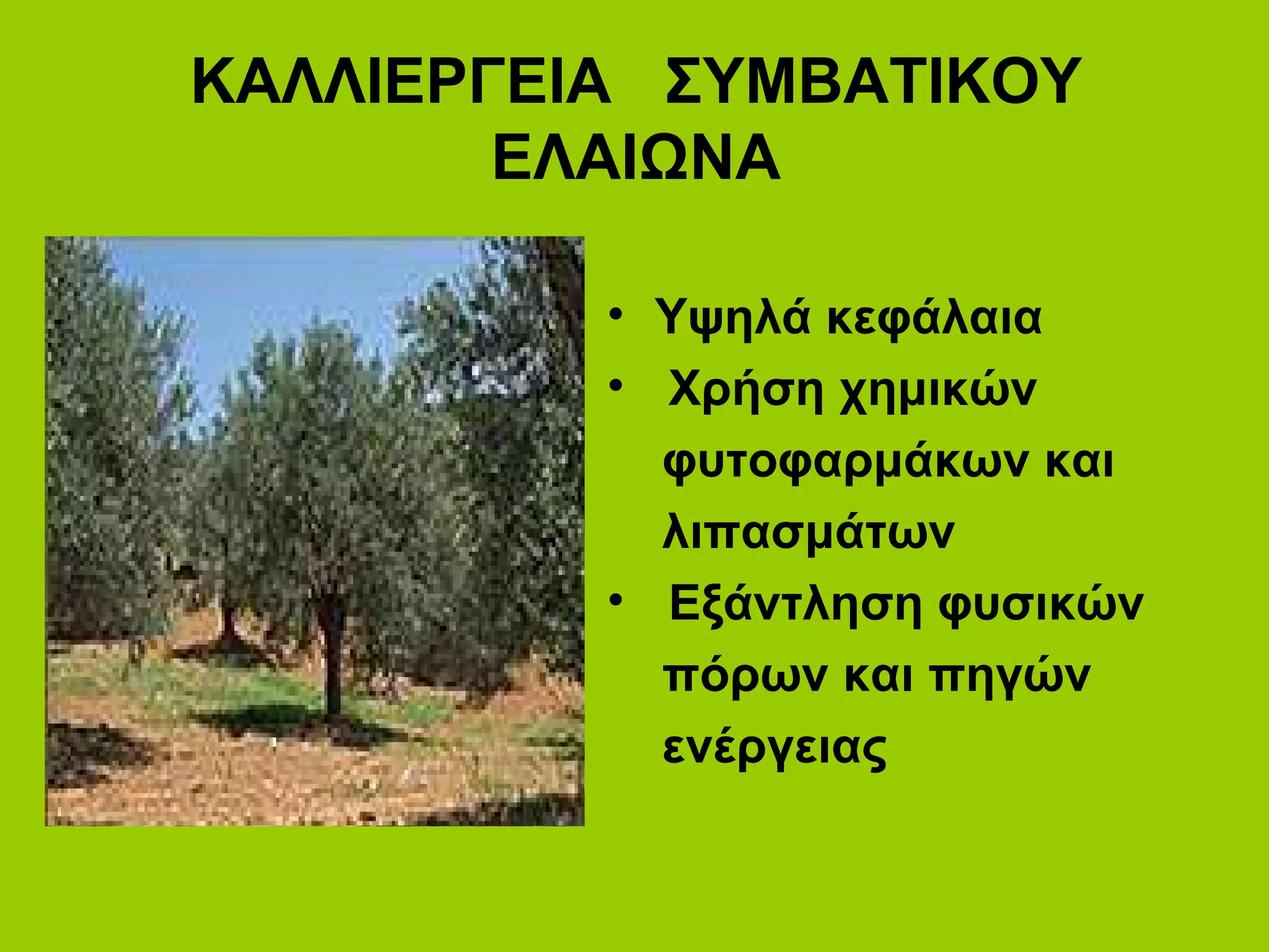 ΚΑΛΛΙΕΡΓΕΙΑ ΣΥΜΒΑΤΙΚΟΥ
ΕΛΑΙΩΝΑ
• Υψηλά κεφάλαια
• Χρήση χημικών
φυτοφαρμάκων και
λιπασμάτων
• Εξάντληση φυσικών
πόρων και πηγών
ενέργειας
 