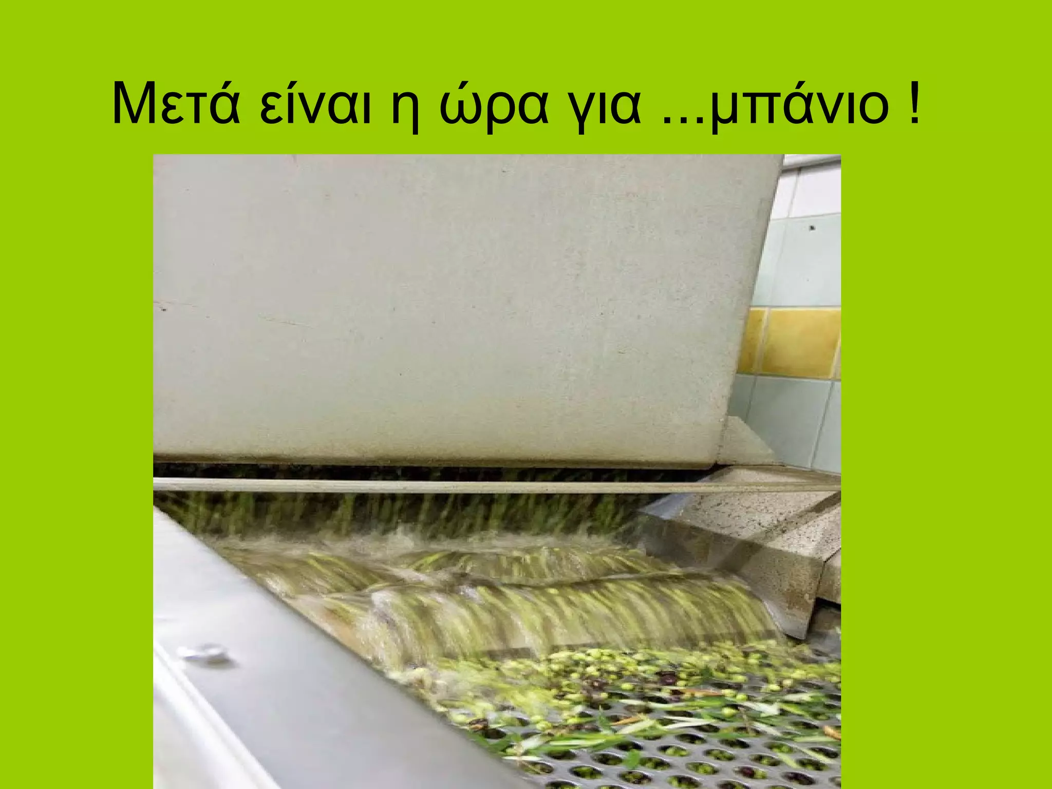 Μετά είναι η ώρα για ...μπάνιο !
 