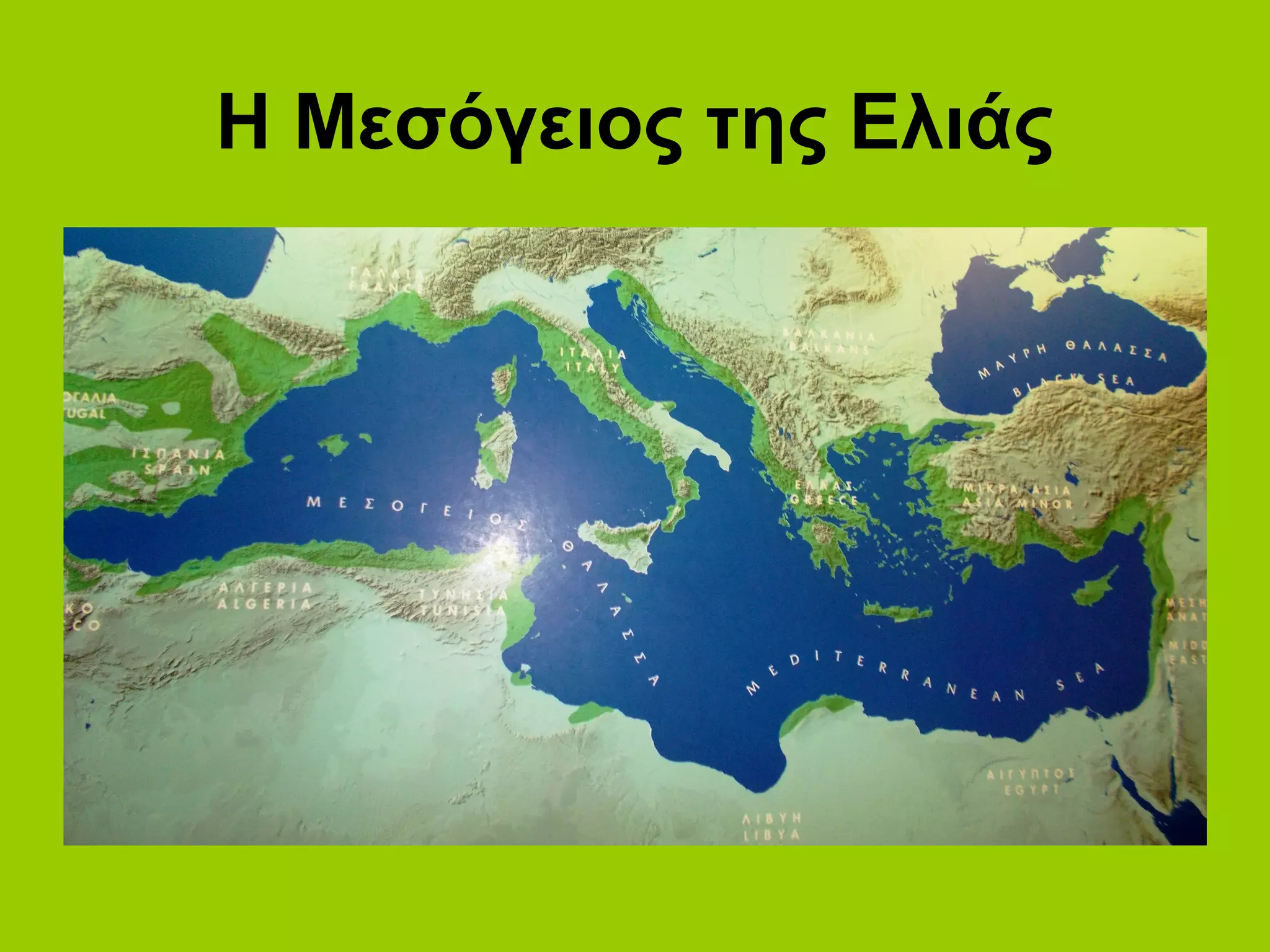 Η Μεσόγειος της Ελιάς
 