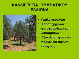 ΚΑΛΛΙΕΡΓΕΙΑ ΣΥΜΒΑΤΙΚΟΥ
ΕΛΑΙΩΝΑ
• Υψηλά κεφάλαια
• Χρήση χημικών
φυτοφαρμάκων και
λιπασμάτων
• Εξάντληση φυσικών
πόρων και πηγών
ενέργειας
 
