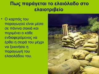 Πως παράγεται το ελαιόλαδο στο
ελαιοτριβείο
• Ο καρπός του
παραγωγού είναι μέσα
σε πάνινα σακιά και
περιμένει ο κάθε
ενδιαφερόμενος να
έρθει η σειρά του μέχρι
να ξεκινήσει η
παραγωγή του
ελαιολάδου του.
 
