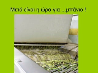 Μετά είναι η ώρα για ...μπάνιο !
 