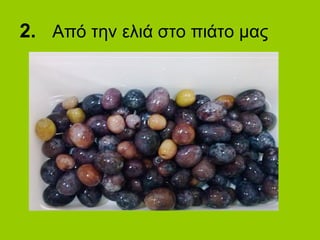 2. Από την ελιά στο πιάτο μας
 