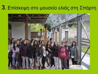 3. Επίσκεψη στο μουσείο ελιάς στη Σπάρτη
 