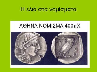 Η ελιά στα νομίσματα
 