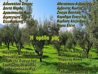 Ελιά ένα δέντρο πλούτου και πολιτισμού