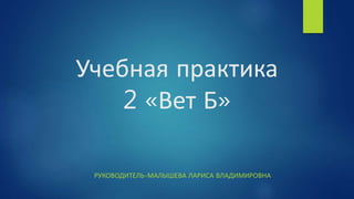 Учебная практика
2 «Вет Б»
РУКОВОДИТЕЛЬ-МАЛЫШЕВА ЛАРИСА ВЛАДИМИРОВНА
 