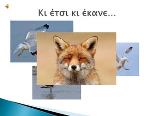 ένα άλλο τέλος για την ιστορία της κενγκά