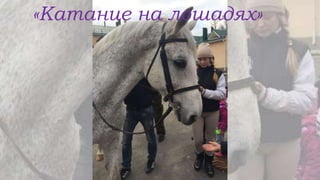 «Катание на лошадях»
 
