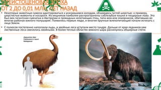 • Некоторые животные сумели адаптироваться к усилившимся холодам, обзаведясь густой шерстью: к примеру,
шерстистые мамонты и носороги. Из хищников наиболее распространены саблезубые кошки и пещерные львы. Это
был век гигантских сумчатых в Австралии и громадных нелетающих птиц, типа моа или эпиорнисов, обитавших во
многих районах южного полушария. Появились первые люди, и многие крупные млекопитающие начали исчезать с
лица Земли.
• С полюсов постепенно наползали льды, и хвойные леса уступали место тундре. Дальше от края ледников уже
лиственные леса сменялись хвойными. В более теплых областях земного шара раскинулись обширные степи.
 