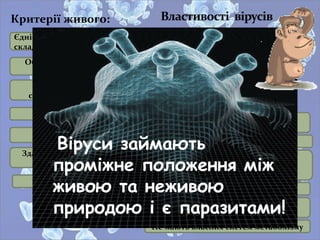 Критерії живого:
Єдність хімічного
складу
Здатність до росту та
розвитку
Мінливість
Спадковість
Здатність до
самовідтворення
Обмін речовин та
енергії
Авторегуляція
Хімічний склад представлений лише
органічними сполуками
але
Не мають структурних складових
Можуть існувати лише як
внутрішньоклітинні паразити і не
можуть розмножуватися поза
організмами
Містять або ДНК або РНК
Для розмноження потрібна лише
нуклеїнова кислота
Не мають власних систем метаболізму
Віруси займають
проміжне положення між
живою та неживою
природою і є паразитами!
 