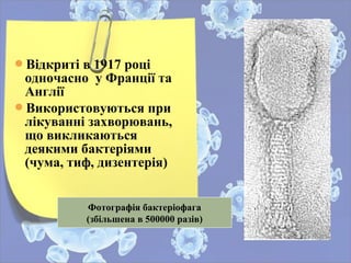 Відкриті в 1917 році
одночасно у Франції та
Англії
Використовуються при
лікуванні захворювань,
що викликаються
деякими бактеріями
(чума, тиф, дизентерія)
Фотографія бактеріофага
(збільшена в 500000 разів)
 