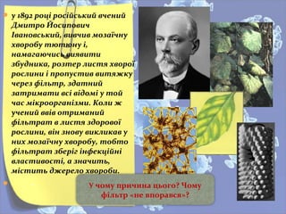  у 1892 році російський вчений
Дмитро Йосипович
Івановський, вивчив мозаїчну
хворобу тютюну і,
намагаючись виявити
збудника, розтер листя хворої
рослини і пропустив витяжку
через фільтр, здатний
затримати всі відомі у той
час мікроорганізми. Коли ж
учений ввів отриманий
фільтрат в листя здорової
рослини, він знову викликав у
них мозаїчну хворобу, тобто
фільтрат зберіг інфекційні
властивості, а значить,
містить джерело хвороби.
 - У чому причина цього? Чому
фільтр «не впорався»?
 