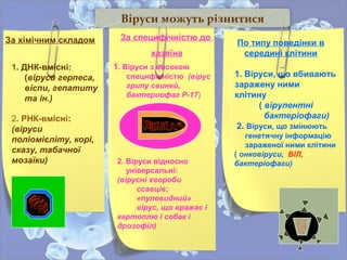 Віруси можуть різнитися
За специфічністю до
хазяїна
1. Віруси з високою
специфічністю (вірус
грипу свиней,
бактериофаг Р-17)
2. Віруси відносно
універсальні:
(вірусні хвороби
ссавців;
«пулевидний»
вірус, що вражає і
картоплю і собак і
дрозофіл)
За хімічним складом
1. ДНК-вмісні:
(віруси герпеса,
віспи, гепатиту
та ін.)
2. РНК-вмісні:
(віруси
поліомієліту, корі,
сказу, табачної
мозаїки)
По типу поведінки в
середині клітини
1. Віруси, що вбивають
заражену ними
клітину
( вірулентні
бактеріофаги)
2. Віруси, що змінюють
генетичну інформацію
зараженої ними клітини
( онковіруси, ВІЛ,
бактеріофаги)
 
