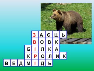 З А Є Ц Ь
В О В К
Б І Л К А
К Р О Л И К
В Е Д М І Д Ь
 