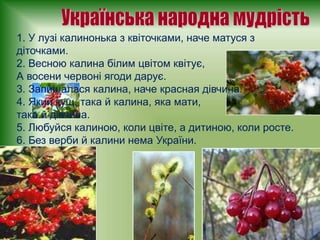Коли свято миколая весною