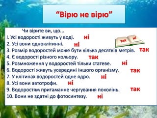 “Вірю не вірю”
Чи вірите ви, що...
І. Усі водорості живуть у воді.
2. Усі вони одноклітинні.
3. Розмір водоростей може бути кілька десятків метрів.
4. Є водорості різного кольору.
5. Розмноження у водоростей тільки статеве.
6. Водорості живуть усередині іншого організму.
7. У клітинах водоростей одне ядро.
8. Усі вони автотрофи.
9. Водоростям притаманне чергування поколінь.
10. Вони не здатні до фотосинтезу.
ні
ні
так
так
ні
так
ні
ні
ні
так
 