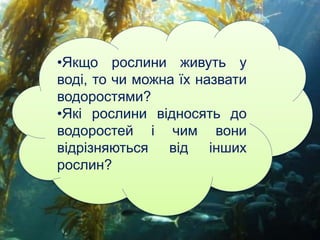 •Якщо рослини живуть у
воді, то чи можна їх назвати
водоростями?
•Які рослини відносять до
водоростей і чим вони
відрізняються від інших
рослин?
 