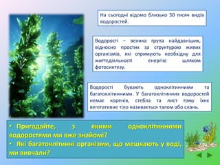 Водорості – велика група найдавніших,
відносно простих за структурою живих
організмів, які отримують необхідну для
життєдіяльності енергію шляхом
фотосинтезу.
На сьогодні відомо близько 30 тисяч видів
водоростей.
• Пригадайте, з якими одноклітинними
водоростями ми вже знайомі?
• Які багатоклітинні організми, що мешкають у воді,
ми вивчали?
Водорості бувають одноклітинними та
багатоклітинними. У багатоклітинних водоростей
немає коренів, стебла та лист тому їхнє
вегетативне тіло називається талом або слань.
 