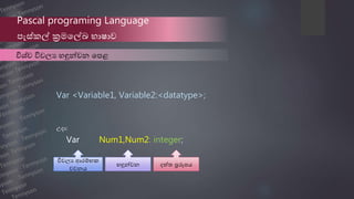 පැස්කල් | PPTX
