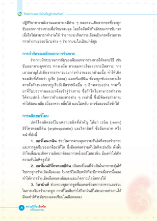 โรงพยาบาลสถาบันโรคไตภูมิราชนครินทร์
ความรู้เรื่องโรคไต
สำหรับประชาชน

ปฏิกิริยาทางพลังงานและสารเคมีต่าง ๆ ตลอดจนเกิดสารกรดซึ่งจะถูก
ขับออกจากร่างกายเพื่อรักษาสมดุล โดยไตมีหน้าที่หลักของการขับกรด
เมื่อไตไม่สามารถทำงานได้ ร่างกายจะเกิดภาวะเลือดเป็นกรดซึ่งรบกวน
การทำงานของอวัยวะต่าง ๆ ร่างกายจะไม่เป็นปกติสุข

การกำจัดของเสียออกจากร่างกาย
	 ร่างกายมีกระบวนการขับของเสียออกจากร่างกายได้หลายวิธี เช่น
ขับออกทางอุจจาระ ทางเหงื่อ ทางลมหายใจและทางปัสสาวะ การ

เผาผลาญโปรตีนจากอาหารและการทำงานของกล้ามเนื้อ ทำให้เกิด

ของเสียที่เรียกว่า ยูเรีย (urea) และครีเอตินิน ซึ่งจะถูกขับออกทางไต
สารคั่งค้างนอกจากยูเรียยังมีสารชนิดอื่น ๆ อีกหลายอย่าง รวมทั้ง

ยาที่รับประทานและยาฉีดเข้าสู่ร่างกาย ซึ่งถ้าไตไม่สามารถทำงาน

ได้ตามปกติ เกิดการค้างของสารต่าง ๆ เหล่านี้ ซึ่งมีพิษต่อร่างกาย
ทำให้อ่อนเพลีย เบื่ออาหาร คลื่นไส้ นอนไม่หลับ อาจซึมลงจนถึงชักได้

การผลิตฮอร์โมน
	 ปกติไตผลิตฮอร์โมนหลายชนิดที่สำคัญ ได้แก่ เรนิน (renin) 

อิริโทรพอยอีติน (erythropoietin) และวิตามินดี ซึ่งมีบทบาท หรือ

หน้าที่ดังนี้
	 1.	ฮอร์โมนเรนิน ช่วยในการควบคุมความดันโลหิตของร่างกาย
และการดูดซึมของเกลือแร่ที่ไต ซึ่งมีผลต่อความดันโลหิตเช่นกัน ดังนั้น
ถ้าไตเสื่อมจะเกิดความผิดปกติของการหลั่งฮอร์โมนเรนิน มีผลทำให้เกิด
ความดันโลหิตสูงได้
	 2.	 ฮอร์โมนอิริโทรพอยอีติน เป็นฮอร์โมนที่จำเป็นในการกระตุ้นให้
ไขกระดูกสร้างเม็ดเลือดแดง ในกรณีไตเสียหน้าที่จะมีการหลั่งสารนี้ลดลง
ทำให้การสร้างเม็ดเลือดแดงน้อยลงและเกิดภาวะโลหิตจางได้
	 3.	วิตามินดี ช่วยควบคุมการดูดซึมแคลเซียมจากอาหารและช่วย
ในการเสริมสร้างกระดูก การที่ไตเสียทำให้วิตามินดีไม่สามารถทำงานได้
มีผลทำให้ระดับของแคลเซียมในเลือดลดลง
 