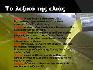 Το λεξικό της ελιάς
Μαξούλ’ :Η ποσότητα τις ελαιοσυγκομιδής.
Π.χ.: «Φέτους είχαμε πουλιύ μαξούλ’ « λέει ο
παππούς, δηλαδή πολλές ελιές.
Κιούπ»: Μεγάλο πήλινο δοχείο όπου βάζουμε το λάδι,
αλλιώς και «Σφίδα» (πιθάρι).
Ραβδιστές: Αυτοί που τινάζουν με ραβδιά τα κλαδιά
μιας ελιάς για να πέσει ο καρπός στα δίχτυα.
Μαζώχτρες: Οι γυναίκες που μαζεύουν τις ελιές που
πέφτουν από το δέντρο.
Μόδι: Όπως λέμε, «Θέλω ένα κιλό ζάχαρη», έτσι λέμε
και «έχουμε δέκα μόδια ελιές.
Πρόκειται για μονάδα μέτρησης βάρους. Το ένα μόδι
ισούται με 640 κιλά.
Τέμπλα: Μακρύ ραβδί, με το οποίο ραβδίζουμε,
δηλαδή χτυπάμε τα κλαδιά του ελαιόδεντρου για να
πέσουν οι ελιές.
Σαλβάρ’: Ειδικό «παντελόνι» που φορούσαν παλιά οι
γυναίκες όταν μάζευαν ελιές.
 