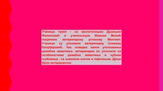 Ученици првог 1 са васпитачицом Душицом
Филиповић и учитељицом Иваном Милић
посјетили ветеринарску установу Монтвет.
Ученици су упознали ветеринарку Снежану
Калуђеровић. Час изведен након упознавања
домаћих животиња. ветеринарка их упознала са
особеностима домаћих животиња и кућних
љубимаца , са њиховом његом и лијечењем. Дјеци
било интересантно
 