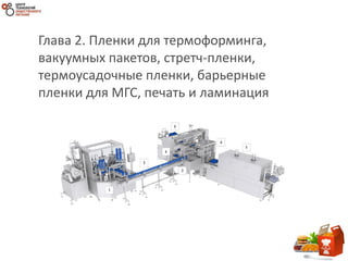Глава 2. Пленки для термоформинга,
вакуумных пакетов, стретч-пленки,
термоусадочные пленки, барьерные
пленки для МГС, печать и ламинация
 