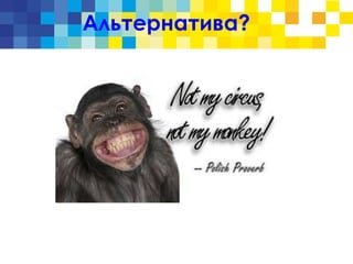 Альтернатива?
 