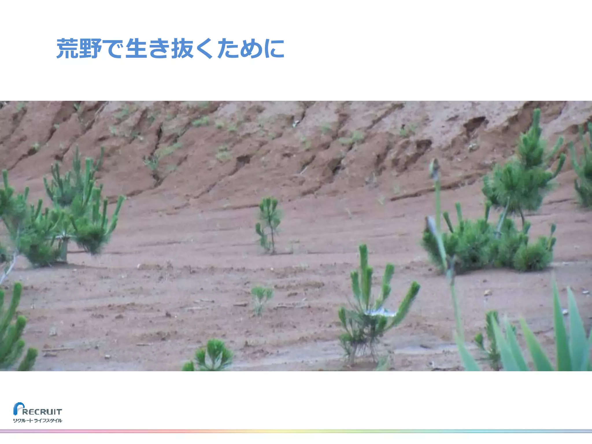 荒野で生き抜くために
 