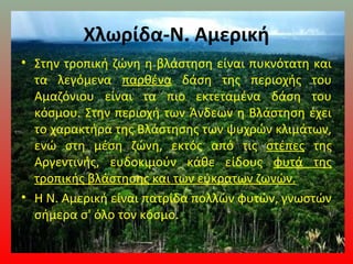 Χλωρίδα-Ν. Αμερική
• Στην τροπική ζώνη η βλάστηση είναι πυκνότατη και
τα λεγόμενα παρθένα δάση της περιοχής του
Αμαζόνιου είναι τα πιο εκτεταμένα δάση του
κόσμου. Στην περιοχή των Άνδεων η Βλάστηση έχει
το χαρακτήρα της Βλάστησης των ψυχρών κλιμάτων,
ενώ στη μέση ζώνη, εκτός από τις στέπες της
Αργεντινής, ευδοκιμούν κάθε είδους φυτά της
τροπικής βλάστησης και των εύκρατων ζωνών.
• Η Ν. Αμερική είναι πατρίδα πολλών φυτών, γνωστών
σήμερα σ' όλο τον κόσμο.
 