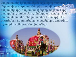 Հնդկաստանի կենդանական աշխարհը հարուստ է ու
ինքնատիպ։ Կաթնասուններից առավել տարածված
ենկապիկները, հնդկական փիղերը, եղջերուները,
վագրըները, հովազները, հիմալայան արջերը և այլ
տարատեսակներ։ Հնդկաստանում մեծաթիվ են
թռչունների ու սողունների տեսակները, այդ թվում՝
աշխարհի ամենաթունավոր օձերի։
 