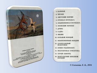 © Салькова, Е. Б., 2016
 