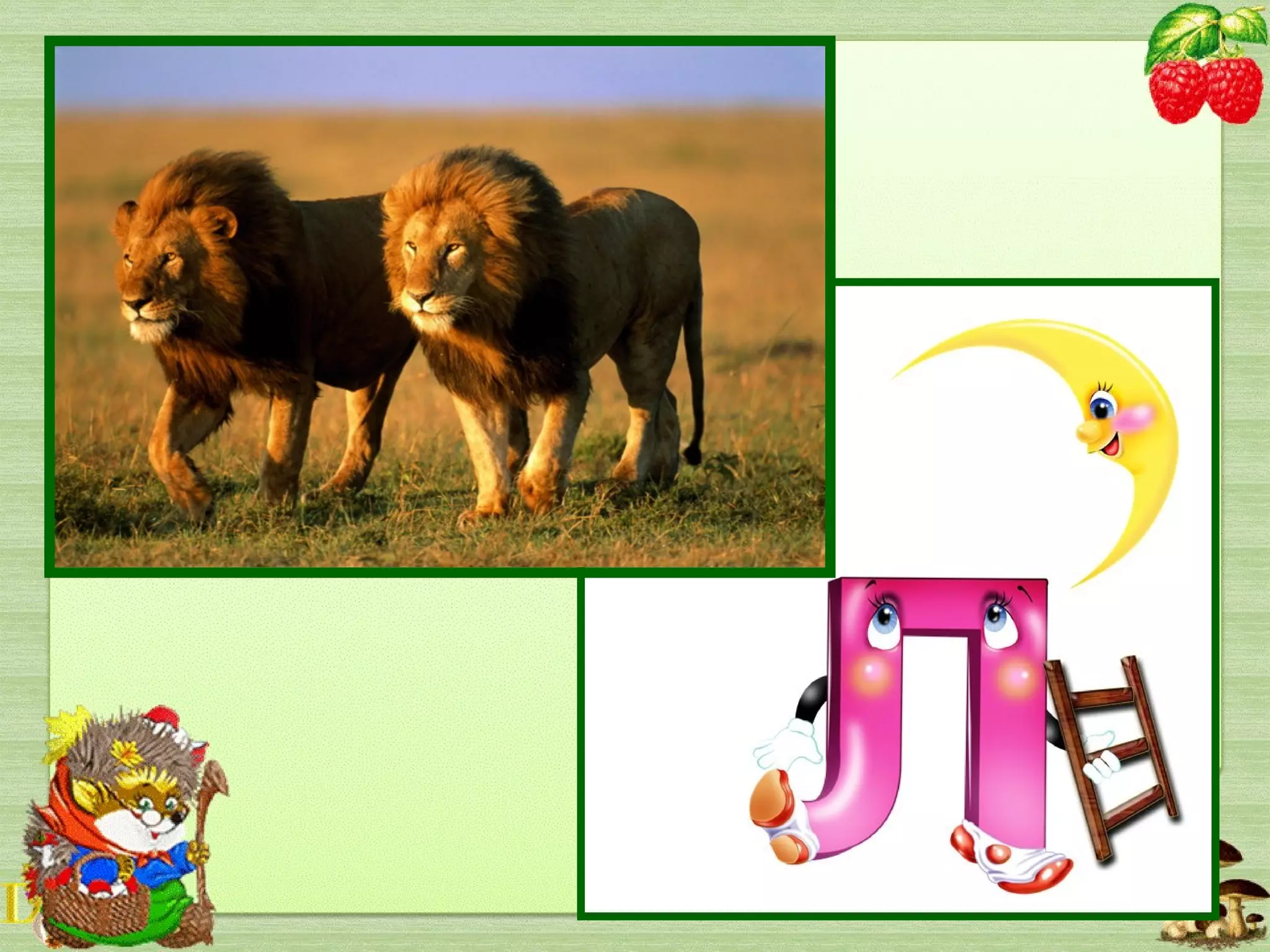 Пазуристий він, гривастий,
Як збирається напасти,
Рявкне – ох і лютий рев!
Відгадали? Так, це…
 