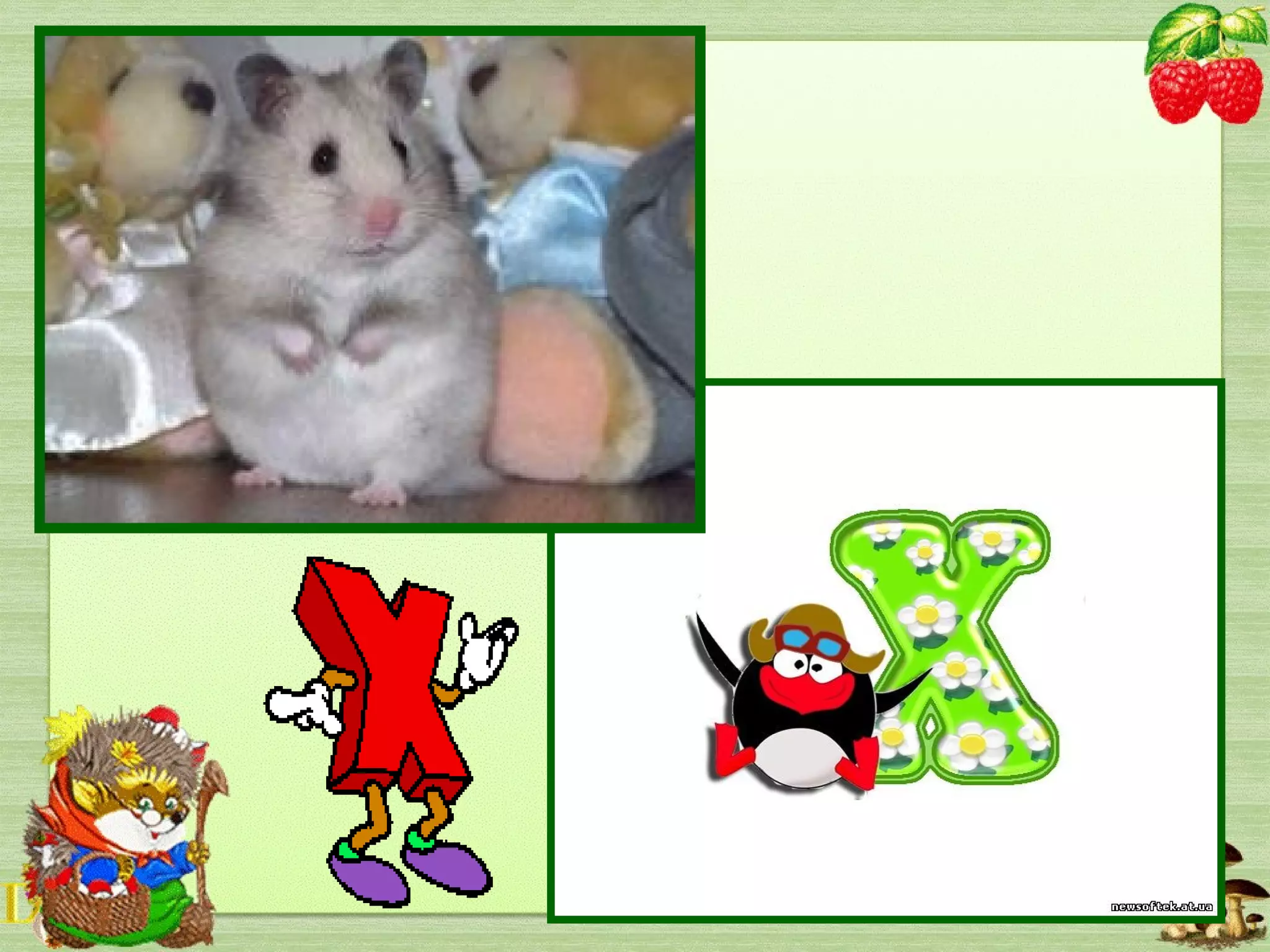 Це який дивак знадвору
Носить здобич у комору?
Не на спині у мішку,
А сховавши за щоку.
 