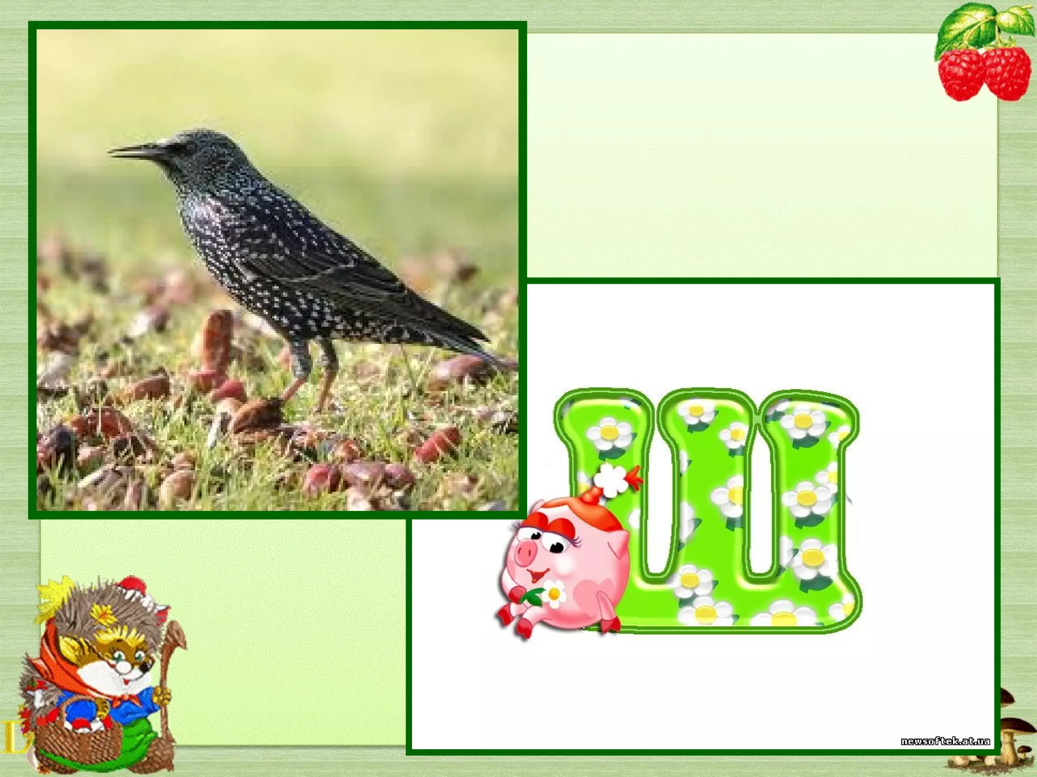 Перший я приніс весну,
Пробудив усе від сну,
Заспіваю під вікном.
Звуть мене усі …
 