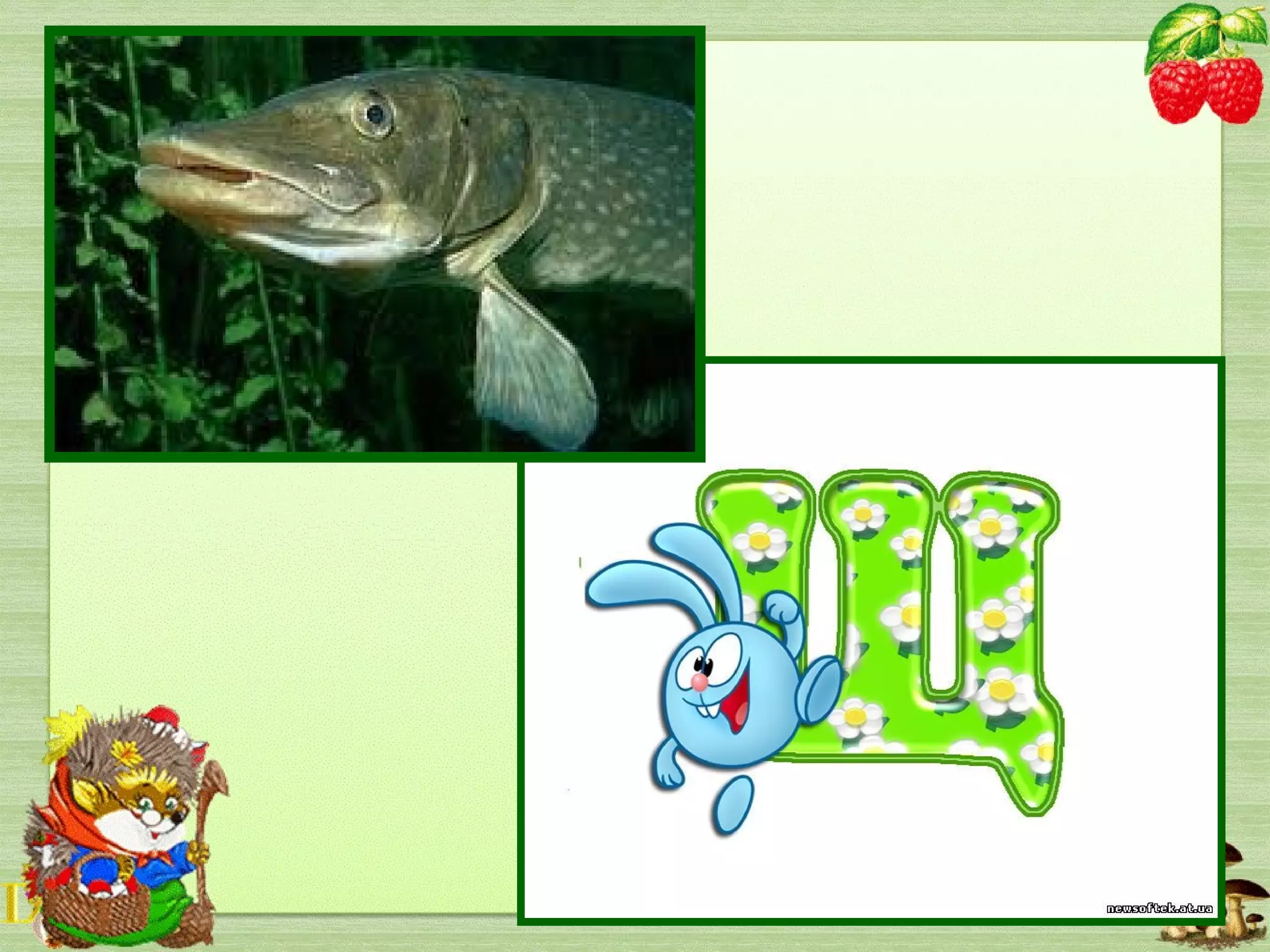 Упіймав Івасик рибу
Але витягнути – мука!
Бо сердита і велика
На гачок зловилась …
 