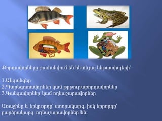 Քորդավորները բաժանվում են հետևյալ ենթատիպերի՝
1.Անգանգեր
2.Պարեգոտավորներ կամ թրթուրաքորդավորներ
3.Գանգավորներ կամ ողնաշարավորներ
Առաջինը և երկրորդը՝ ստորակարգ, իսկ երրորդը՝
բարձրակարգ ողնաշարավորներ են։
 