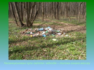 Несанкціоновані купи сміття і відходів – типова ознака масиву
 