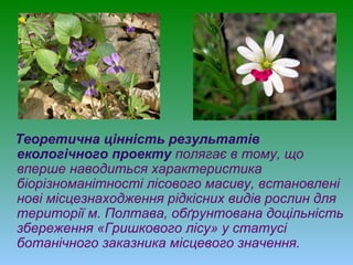 Теоретична цінність результатів
екологічного проекту полягає в тому, що
вперше наводиться характеристика
біорізноманітності лісового масиву, встановлені
нові місцезнаходження рідкісних видів рослин для
території м. Полтава, обґрунтована доцільність
збереження «Гришкового лісу» у статусі
ботанічного заказника місцевого значення.
 