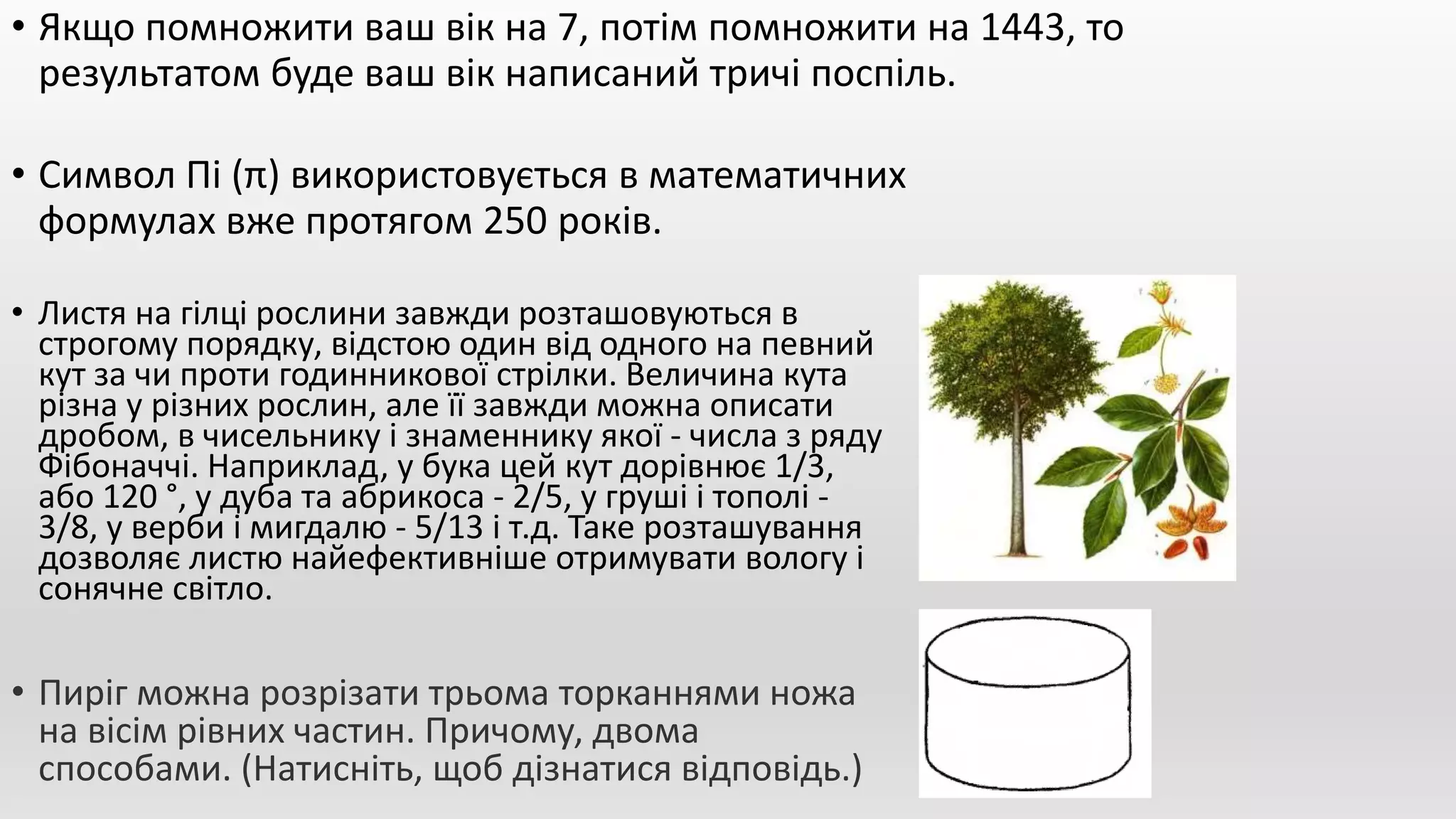 • Якщо помножити ваш вік на 7, потім помножити на 1443, то
результатом буде ваш вік написаний тричі поспіль.
• Символ Пі (π) використовується в математичних
формулах вже протягом 250 років.
• Пиріг можна розрізати трьома торканнями ножа
на вісім рівних частин. Причому, двома
способами. (Натисніть, щоб дізнатися відповідь.)
• Листя на гілці рослини завжди розташовуються в
строгому порядку, відстою один від одного на певний
кут за чи проти годинникової стрілки. Величина кута
різна у різних рослин, але її завжди можна описати
дробом, в чисельнику і знаменнику якої - числа з ряду
Фібоначчі. Наприклад, у бука цей кут дорівнює 1/3,
або 120 °, у дуба та абрикоса - 2/5, у груші і тополі -
3/8, у верби і мигдалю - 5/13 і т.д. Таке розташування
дозволяє листю найефективніше отримувати вологу і
сонячне світло.
 