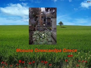 Могила Олександра Олеся
 