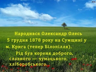 Народився Олександр Олесь
5 грудня 1878 року на Сумщині у
м. Крига (тепер Білопілля).
Рід був кореня доброго,
славного — чумацького,
хліборобського.
 